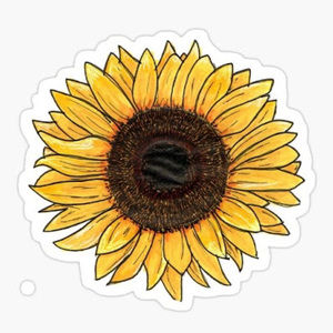 Meet your Posher, Alayna